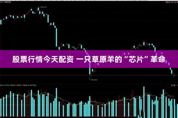 股票行情今天配资 一只草原羊的“芯片”革命