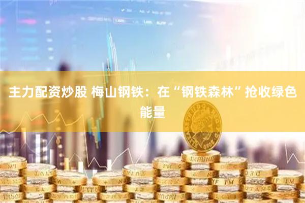 主力配资炒股 梅山钢铁：在“钢铁森林”抢收绿色能量